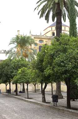 La Mezquita i Cordoba